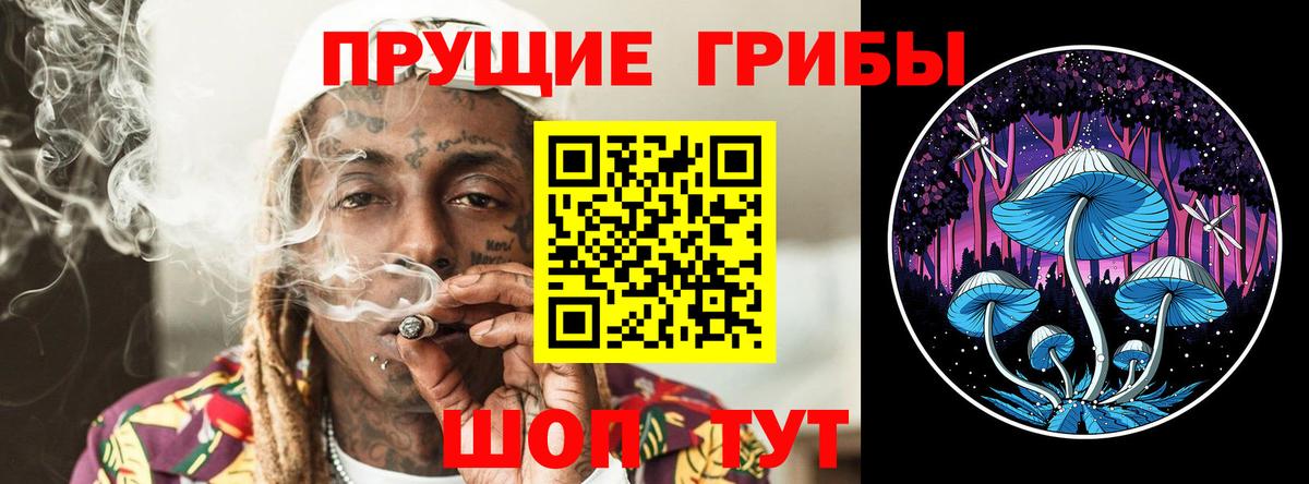 Мытищи  наркота  Вход с VPN  Псилоцибиновые грибы мухоморы 